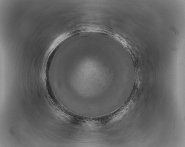 X0000113160199200909041302