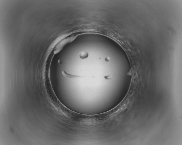 X0000113160200200909041302