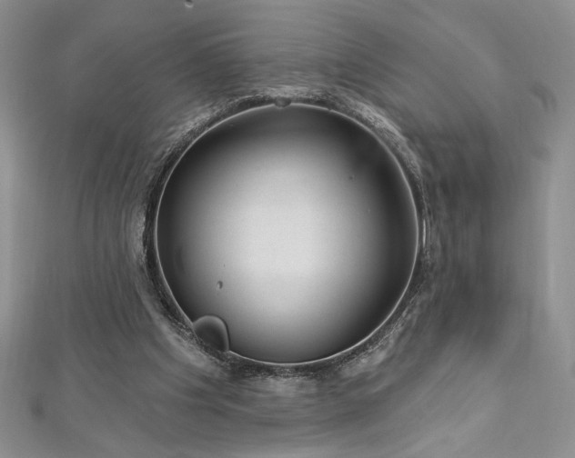 X0000113160201200909041302