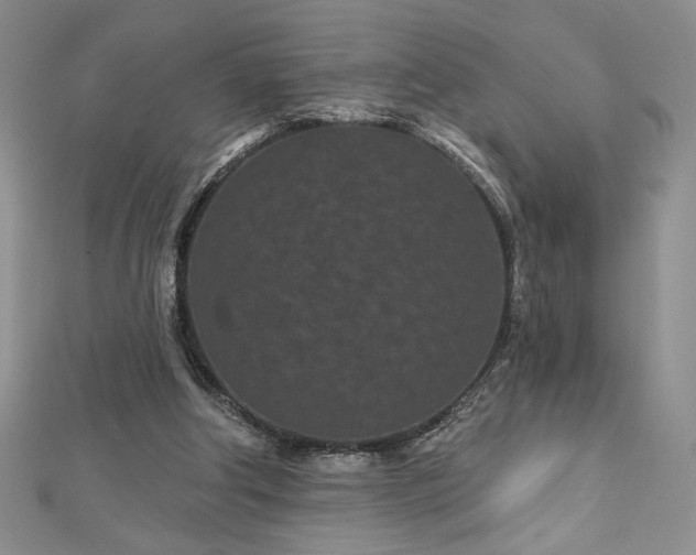 X0000113160202200909041302