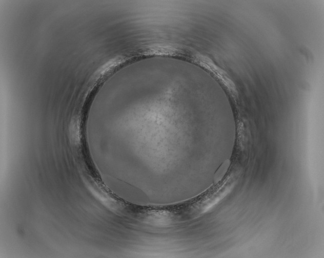 X0000113160203200909041302