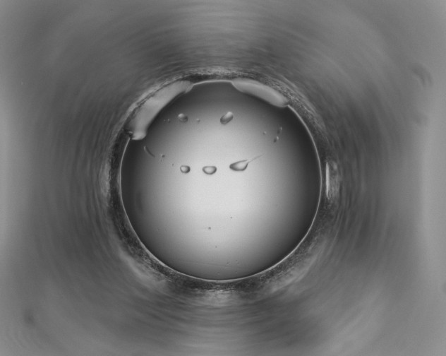 X0000113160204200909041302