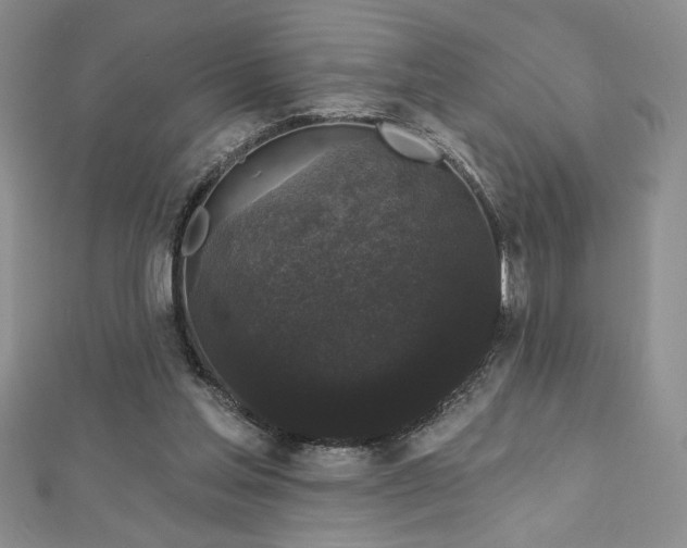 X0000113160205200909041302