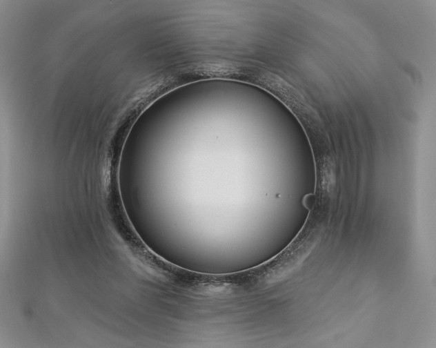 X0000113160206200909041302