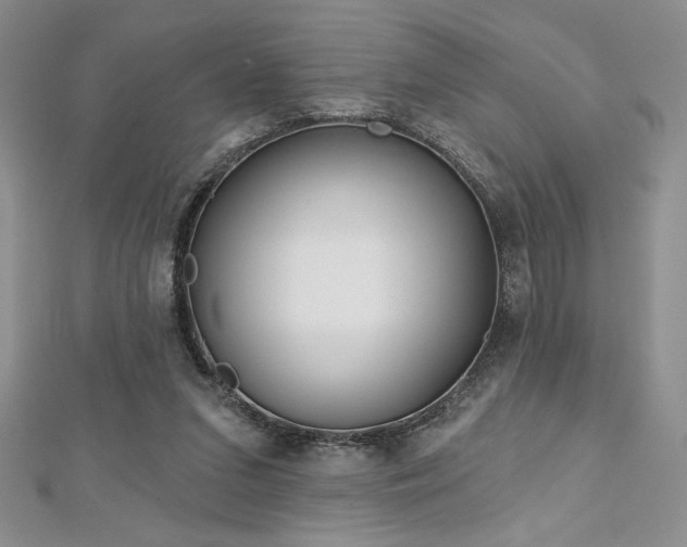 X0000113160207200909041302