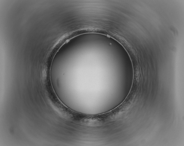 X0000113160208200909041302