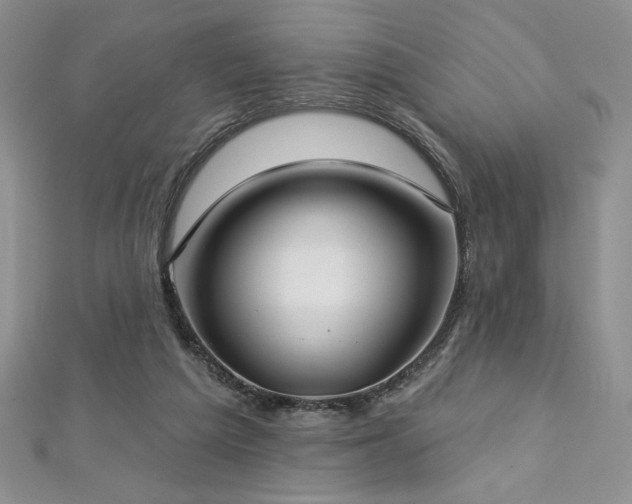 X0000113160209200909041302