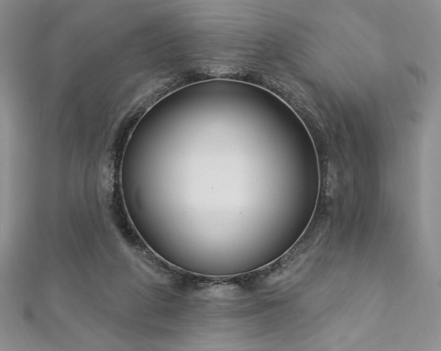 X0000113160210200909041302