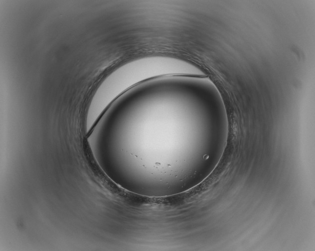 X0000113160211200909041302