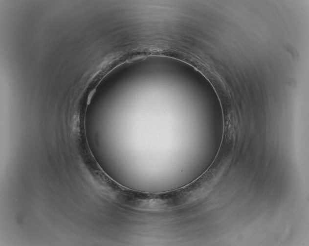 X0000113160212200909041302