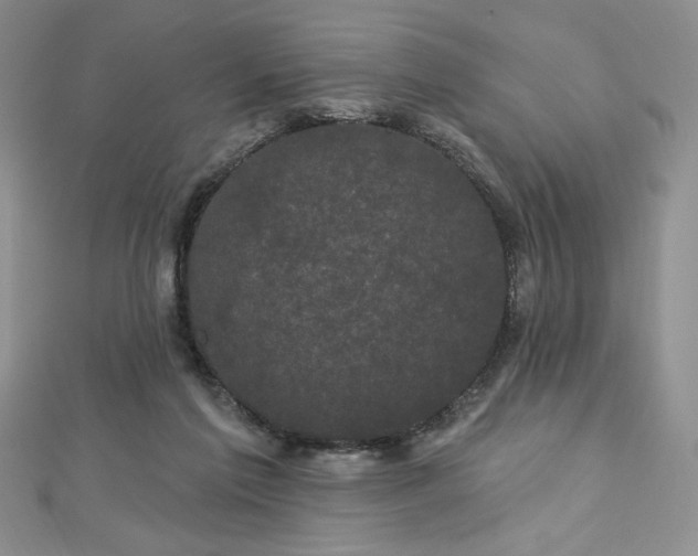 X0000113160213200909041302