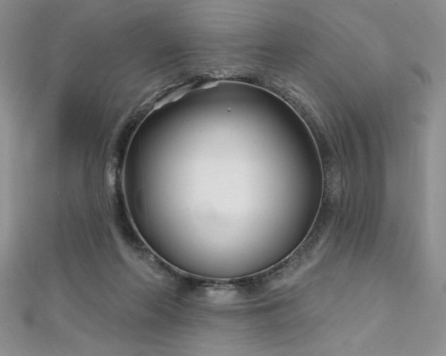 X0000113160214200909041302