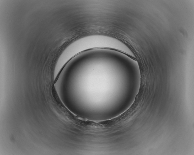 X0000113160215200909041302