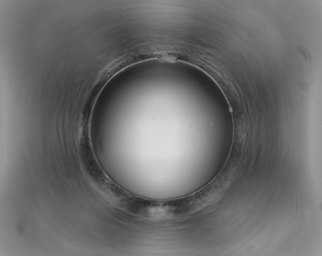 X0000113160216200909041302