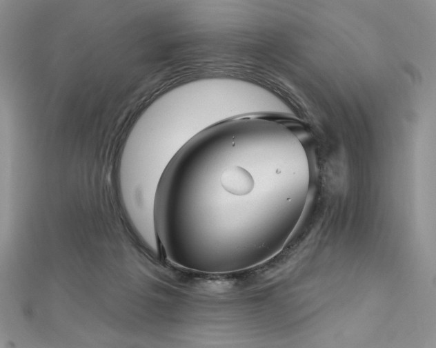 X0000113160217200909041302