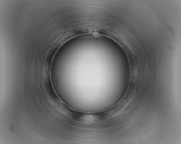 X0000113160218200909041302