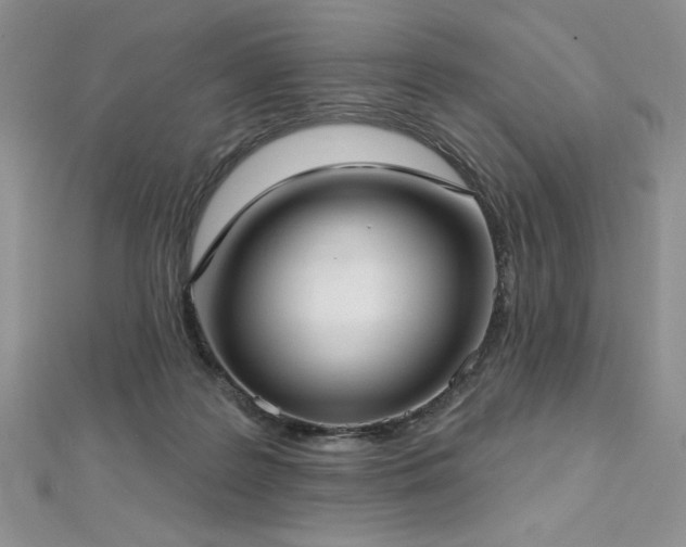 X0000113160219200909041302