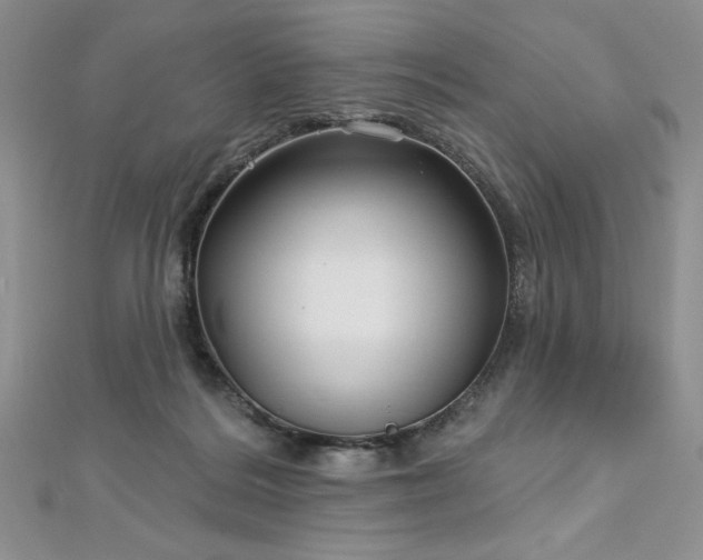 X0000113160220200909041302