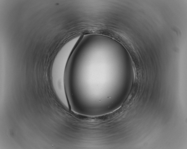 X0000113160221200909041302