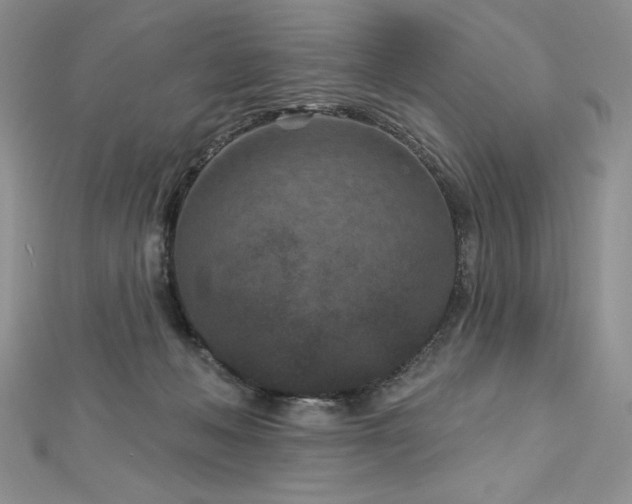 X0000113160222200909041302