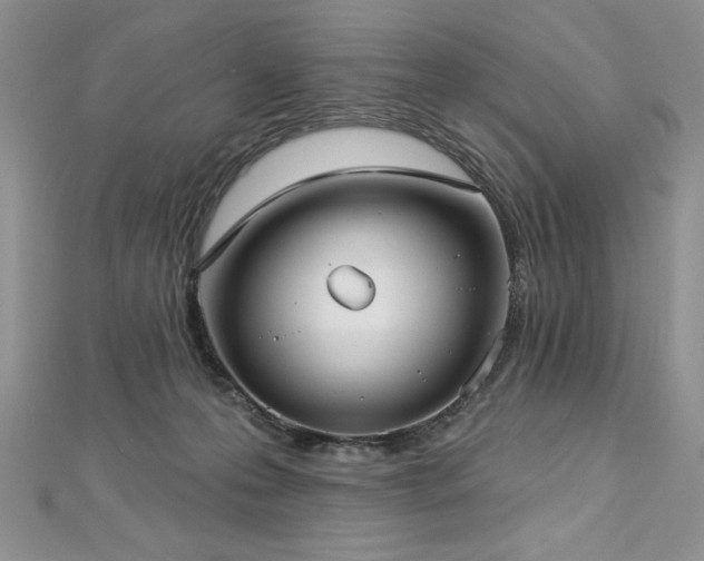 X0000113160223200909041302