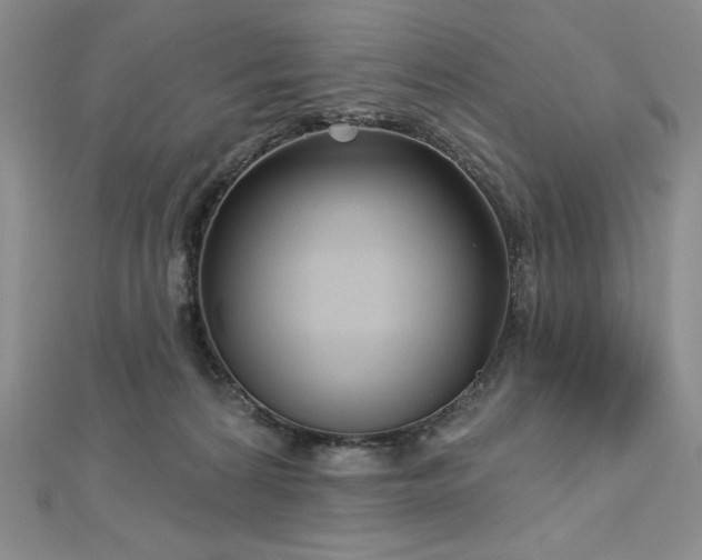 X0000113160224200909041302