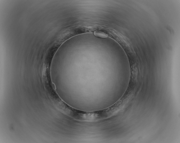 X0000113160225200909041302