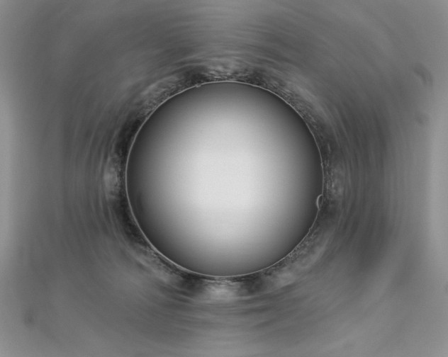 X0000113160226200909041302