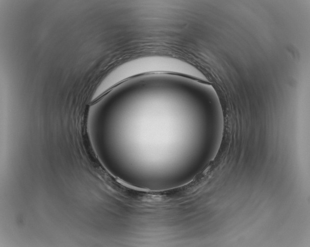 X0000113160227200909041302