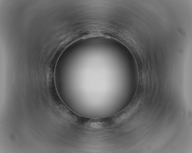 X0000113160228200909041302