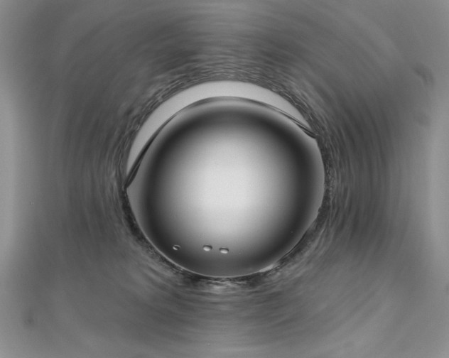 X0000113160229200909041302