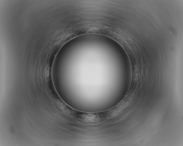 X0000113160230200909041302