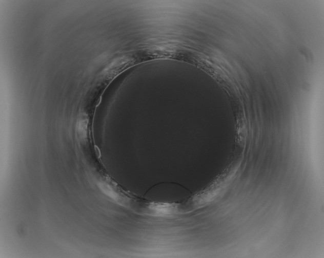 X0000113160231200909041302