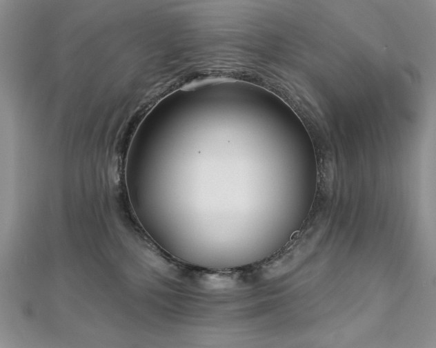 X0000113160232200909041302