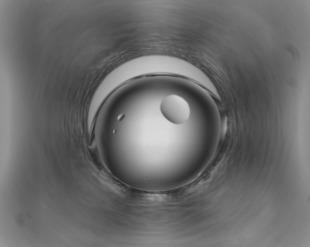 X0000113160233200909041302