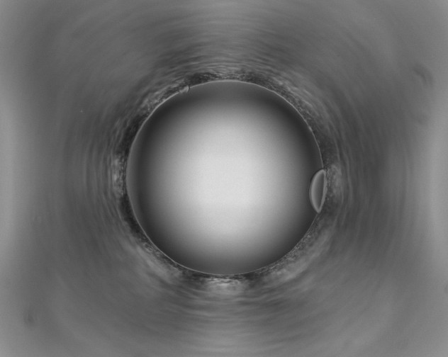 X0000113160234200909041302