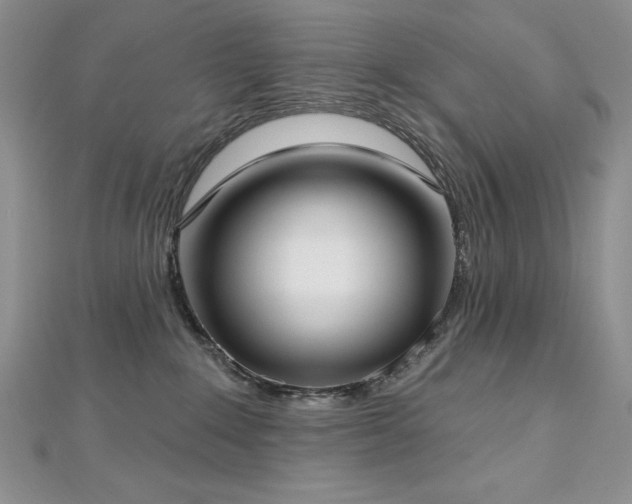 X0000113160235200909041302