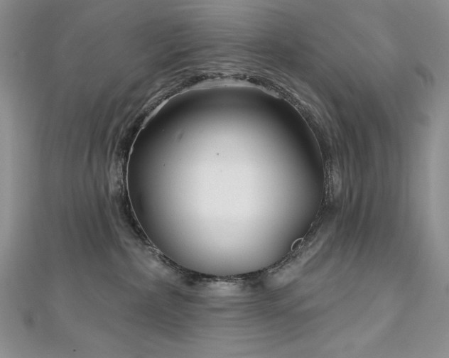 X0000113160236200909041302