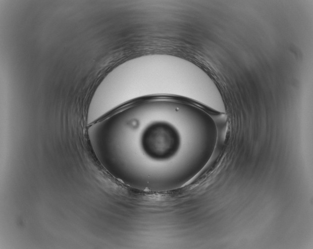 X0000113160237200909041302