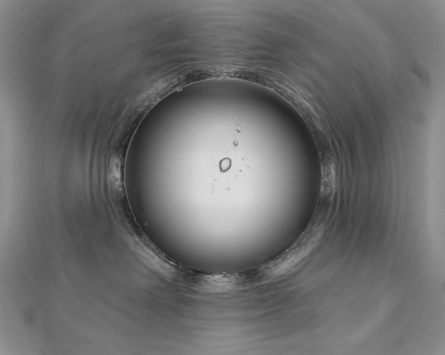 X0000113160238200909041302