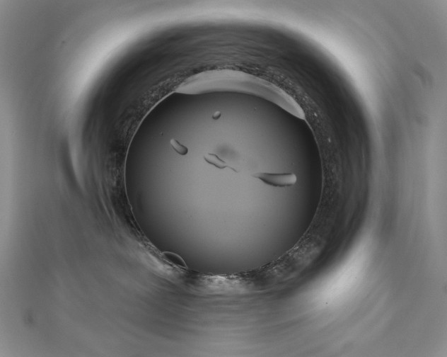 X0000113160239200909041302