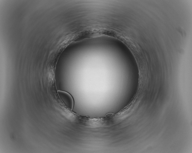 X0000113160240200909041302