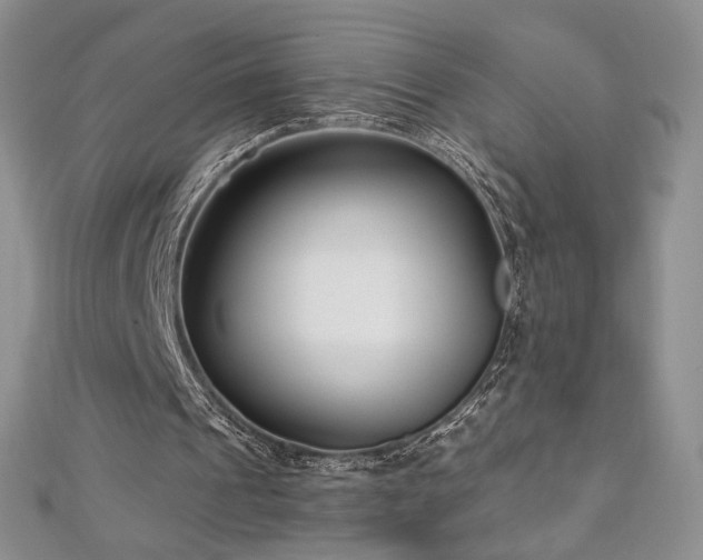 X0000113160241200909041301