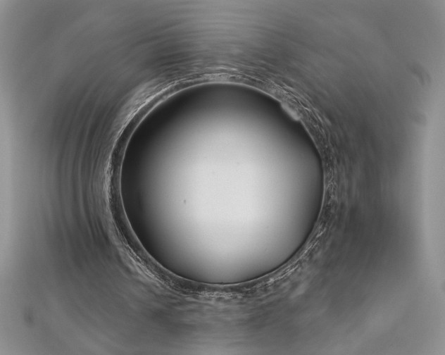 X0000113160242200909041301