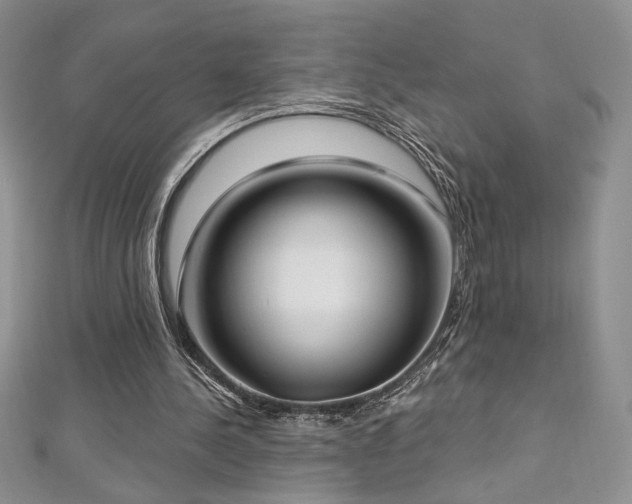 X0000113160244200909041301