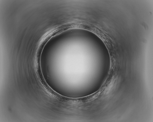 X0000113160245200909041301