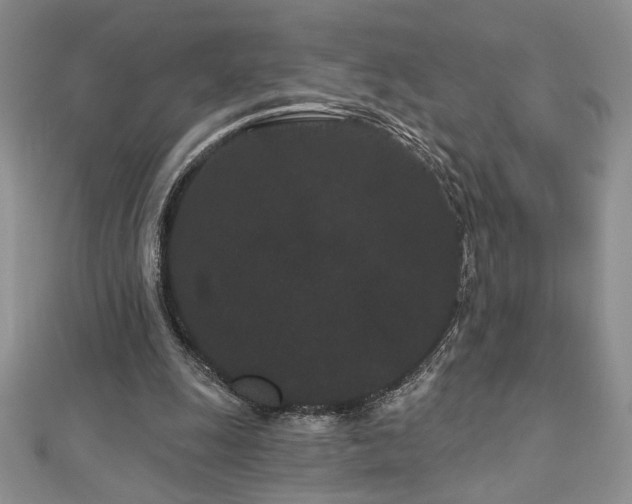 X0000113160247200909041301