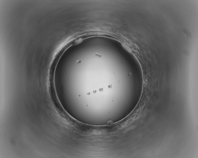 X0000113160248200909041301