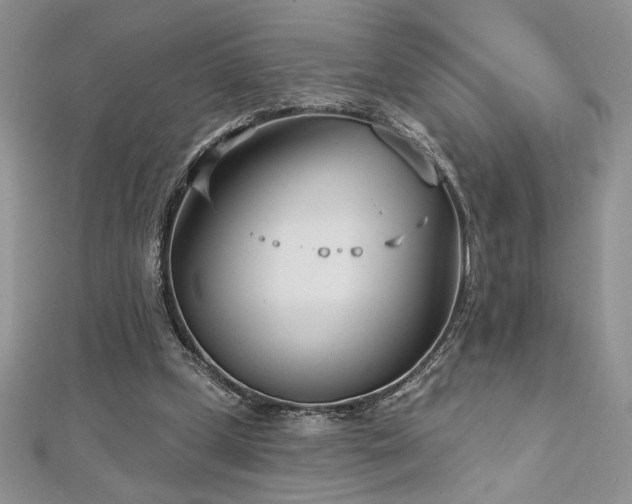 X0000113160249200909041301