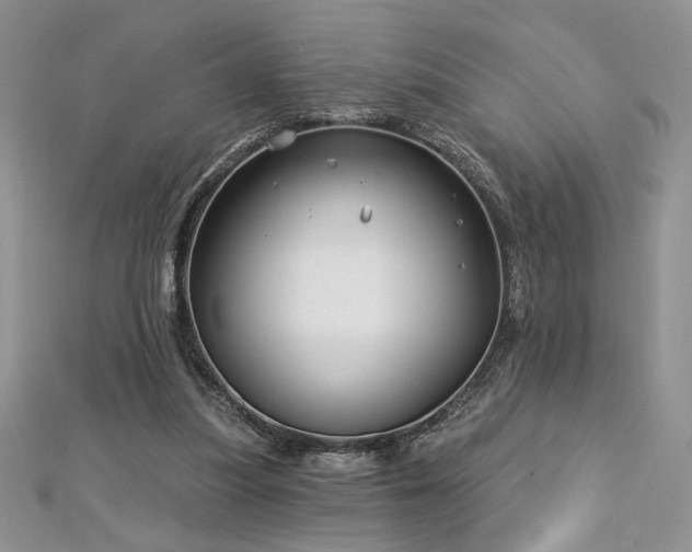 X0000113160251200909041301